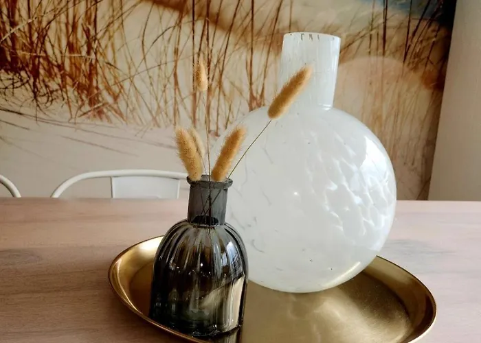 Appartement Superbe Duplex 50 Mètres De La