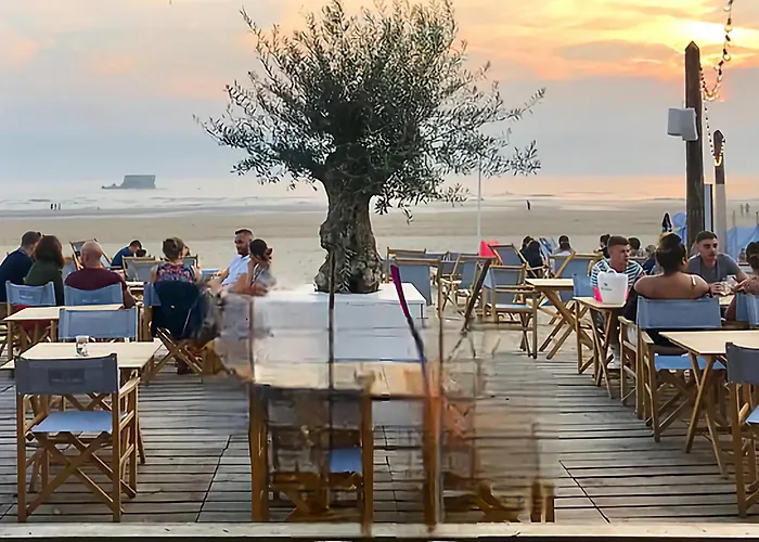 Superbe Duplex 50 Mètres De La Appartement Le Portel